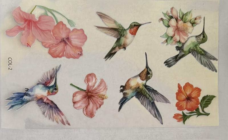 STICKER TRANFER P/TERMOS COLIBRI MOD 2