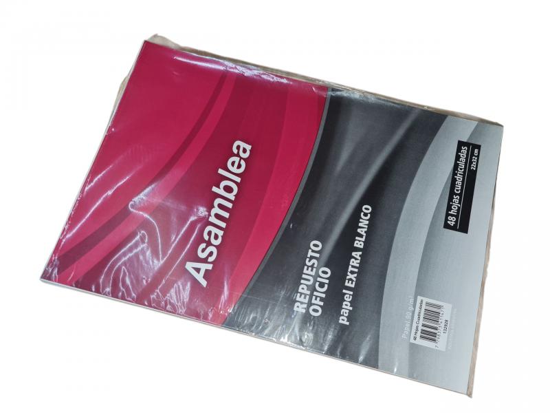 REPUESTO ASAMBLEA OFICIO X 48 HS