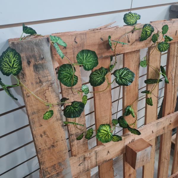 ENREDADERA HIEDRA VERDE/AMARILLO 2.40MTS X UNID