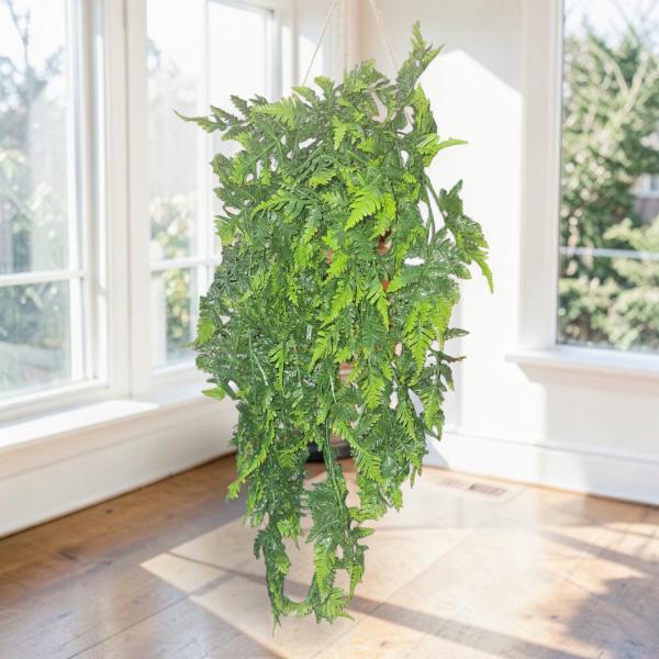 RAMO VERDE HELECHO COLGANTE 75CM