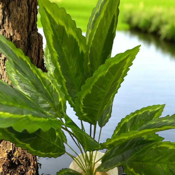 PLANTA TIPO CALATHEA 65 CM -12 HOJAS*2 TONOS