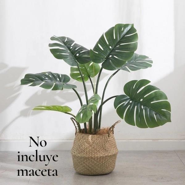 PLANTA TIPO SANDALIA 70 CM * 15 HOJAS