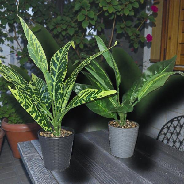 PLANTA TIPO CROTON C/MACETA 36 CM