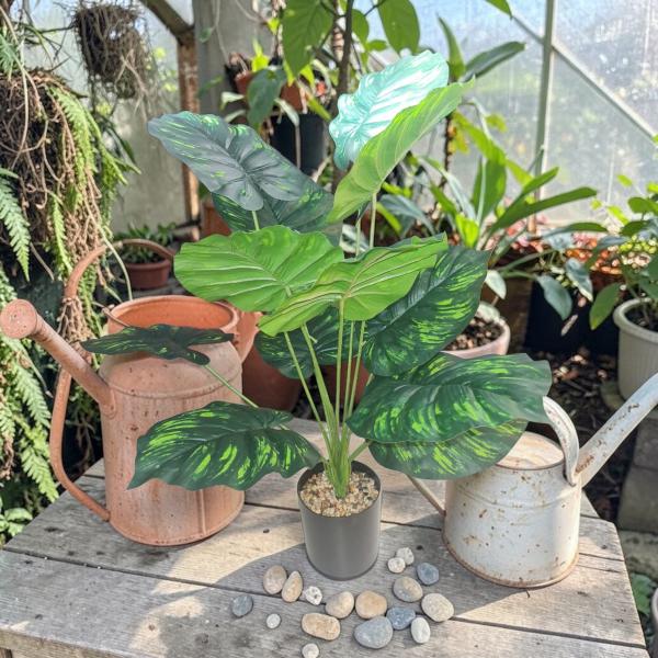 PLANTA HOJAS OREJA DE ELEFANTE BICOLOR 65CM