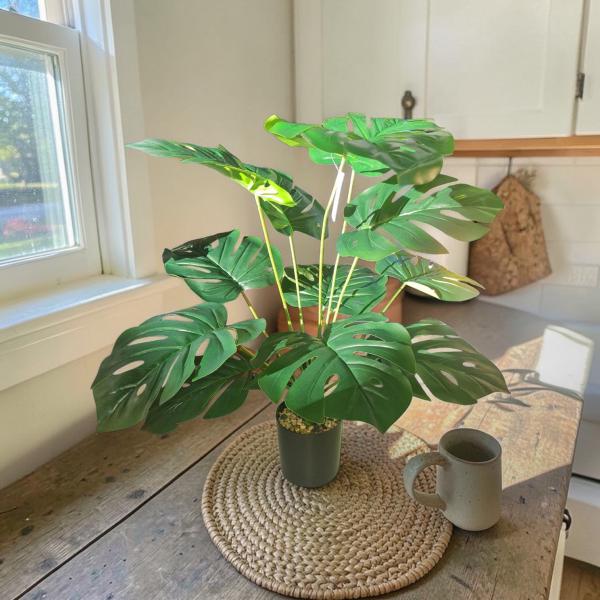 PLANTA HOJAS SANDALIA 65CM