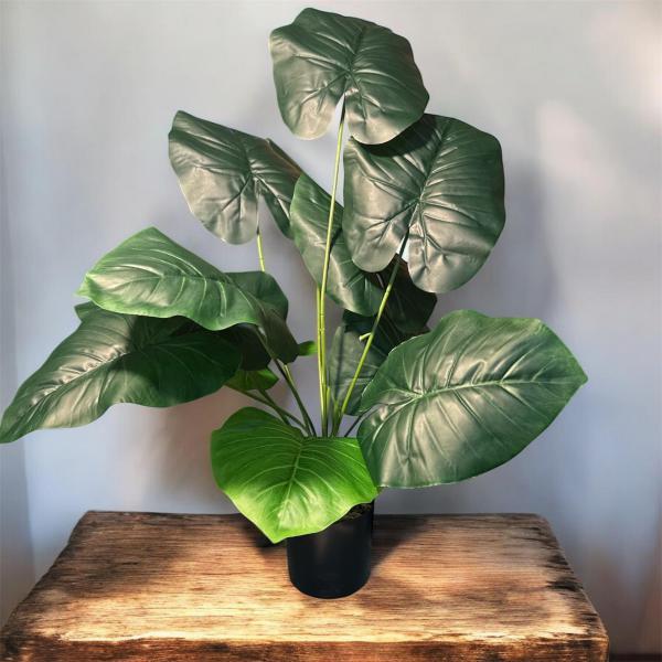 PLANTA HOJAS OREJA DE ELEFANTE 60CM