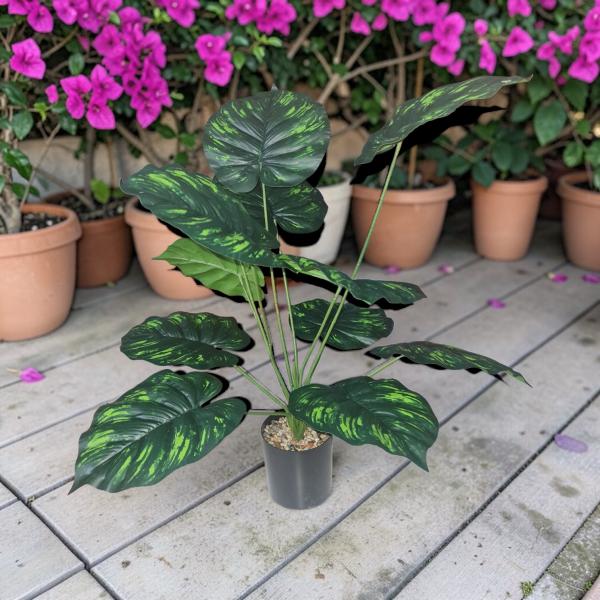 PLANTA HOJAS OREJA DE ELEFANTE 60CM