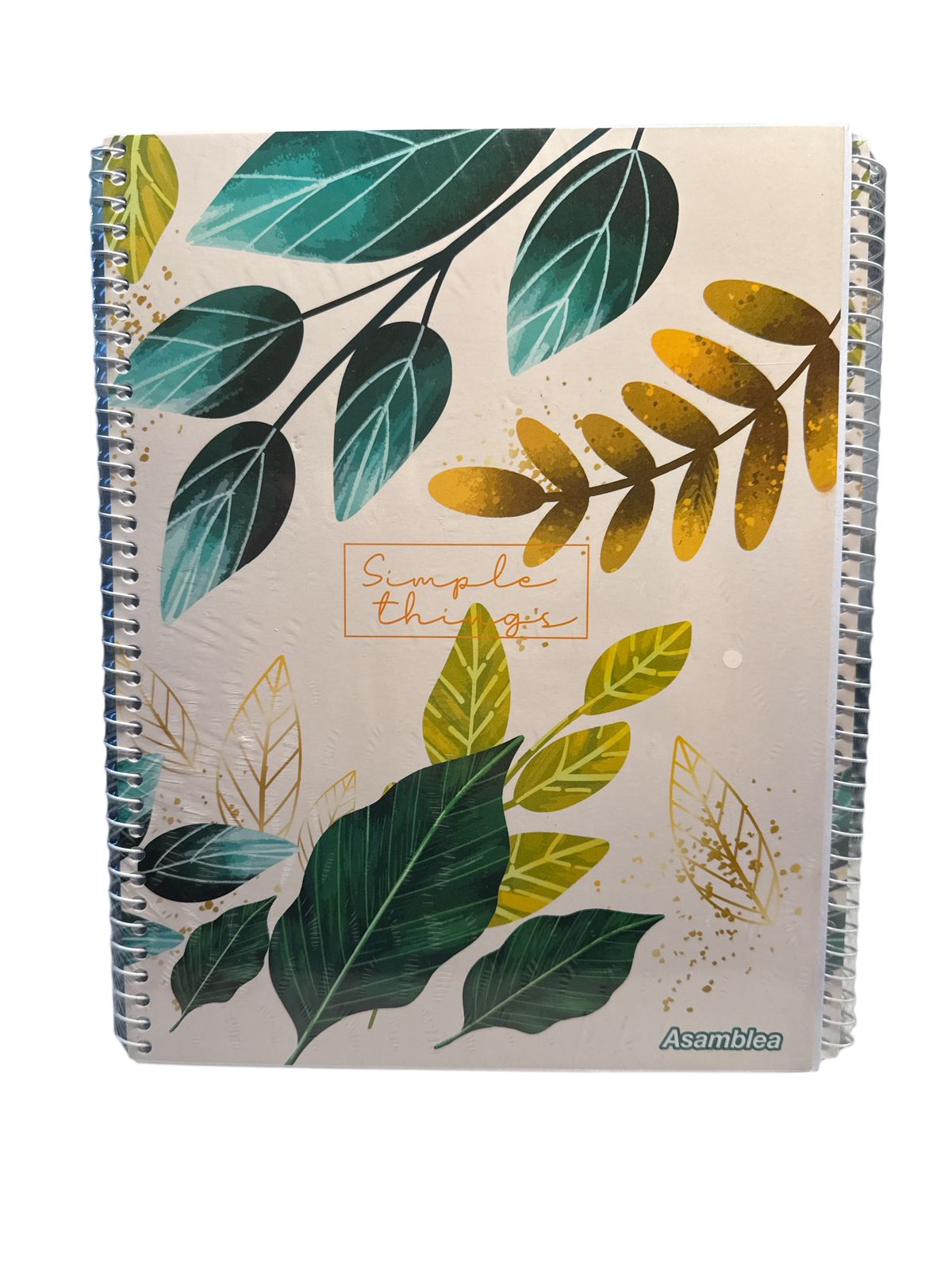 CUAD 29/7 ASAMBLEA EMPLACADO MUJER 80HS RAYADO