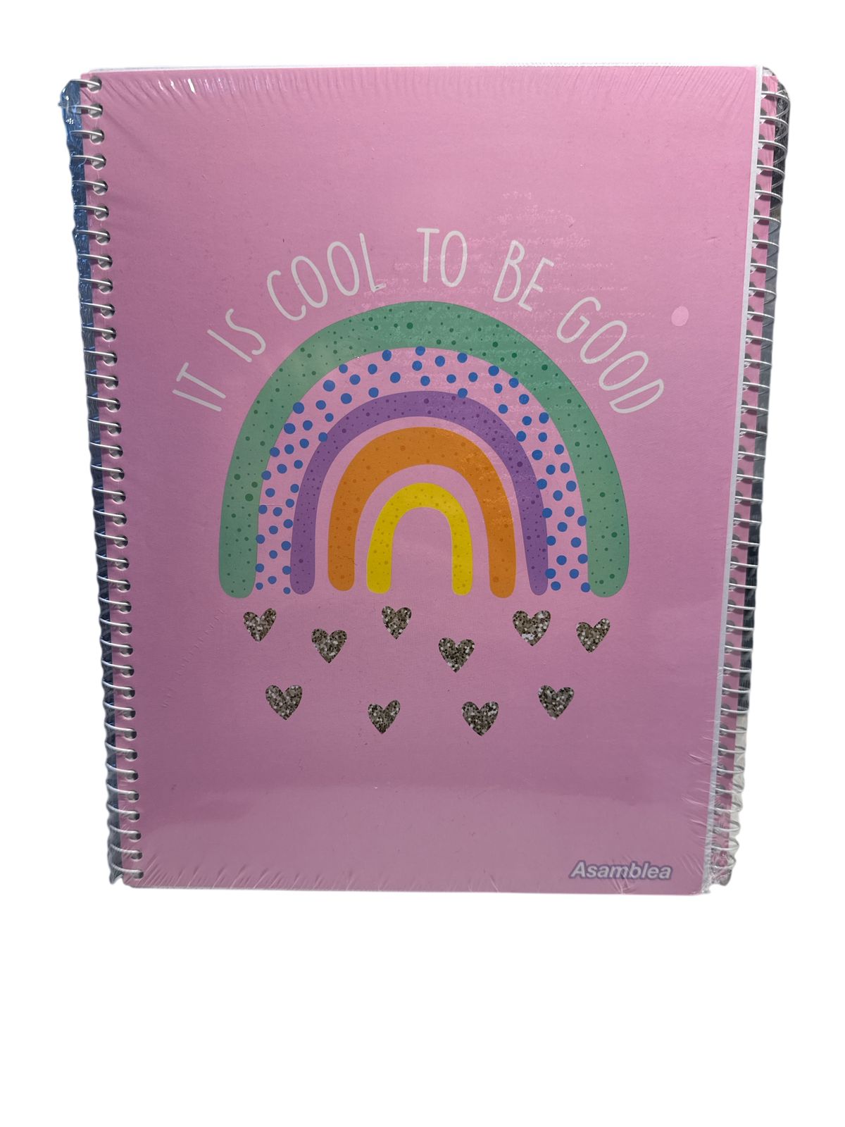 CUAD 29/7 ASAMBLEA EMPLACADO MUJER 80HS RAYADO