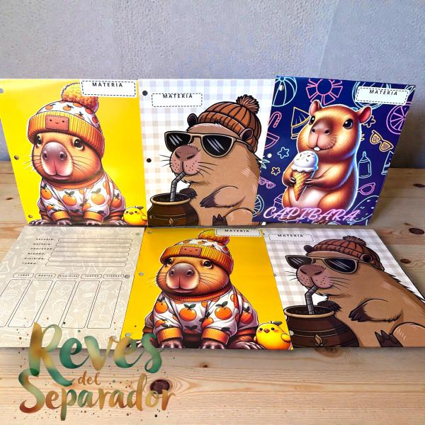 SEPARADOR NØ 3 X 6 HS * CAPYBARA