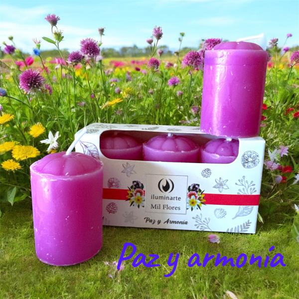 VELA AROMATICAS 5CM X 3 EN CAJA MIL FLORES