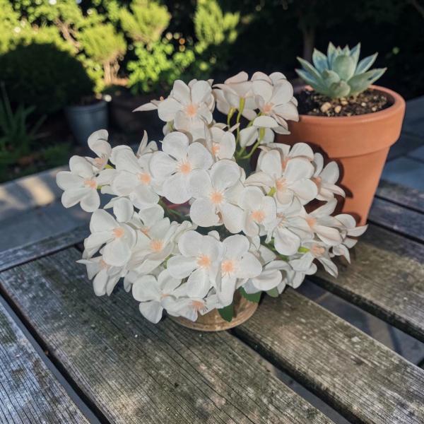 RAMO JAZMIN PARAGUAYO X UNID